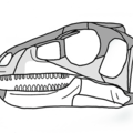 avatar de bortzmeyer@mastodon.gougere.fr