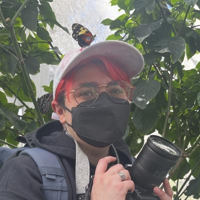 avatar de gersande@the.bisexuals.town