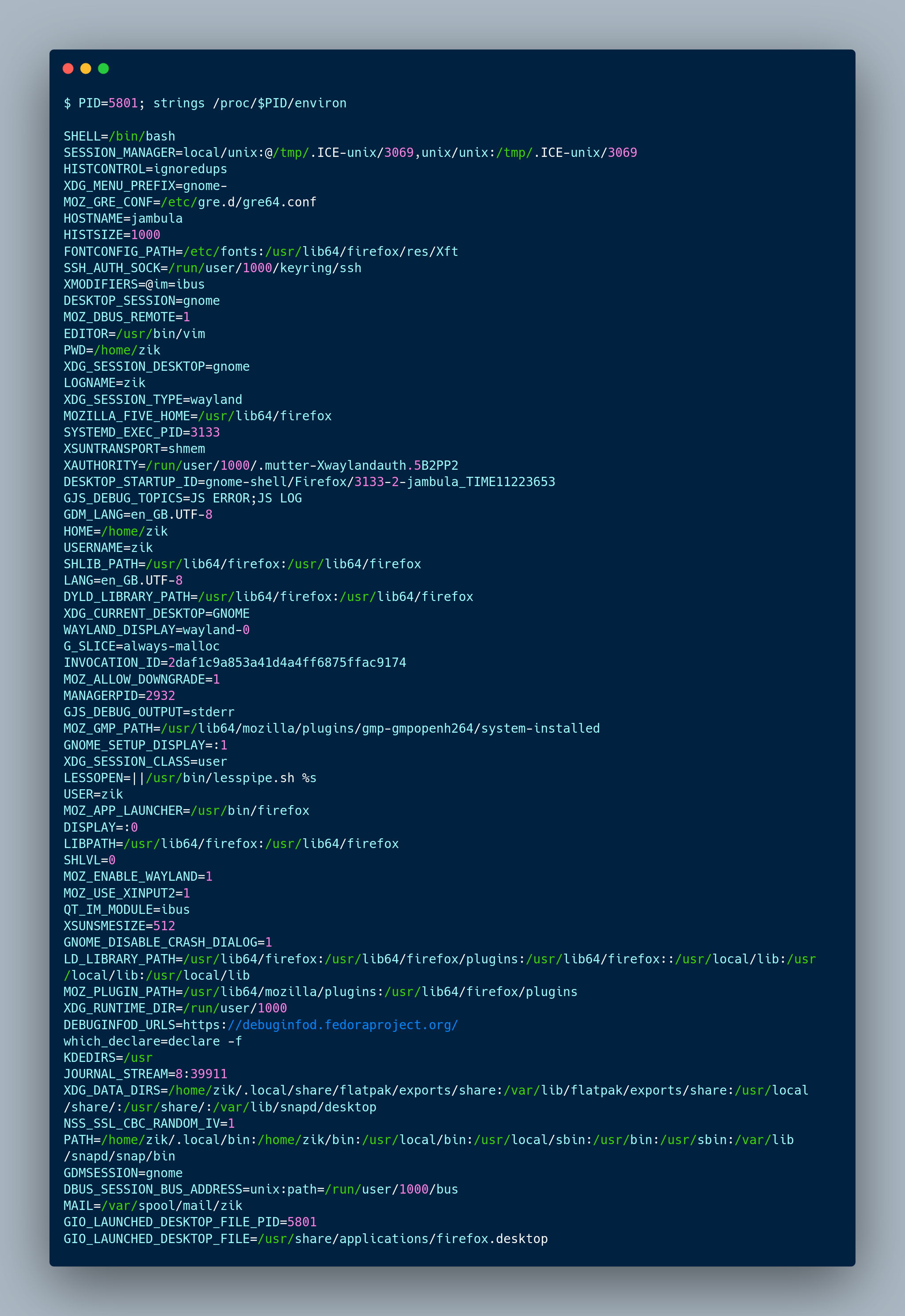 A terminal display showing environment variables of a process in Linux #ZikTIPS