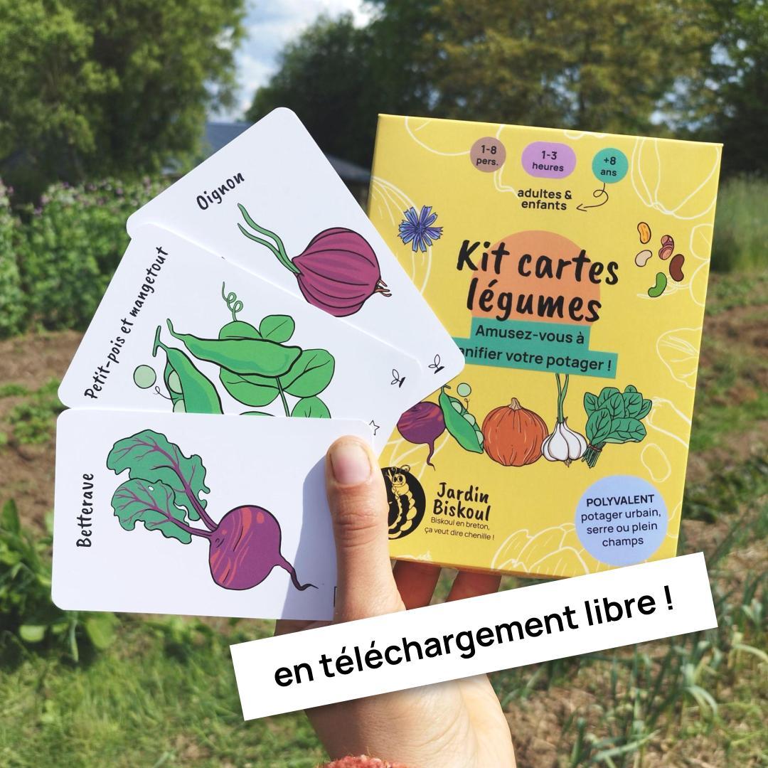 Photo de 3 cartes légumes et l&rsquo;étui de la boîte du kit.
