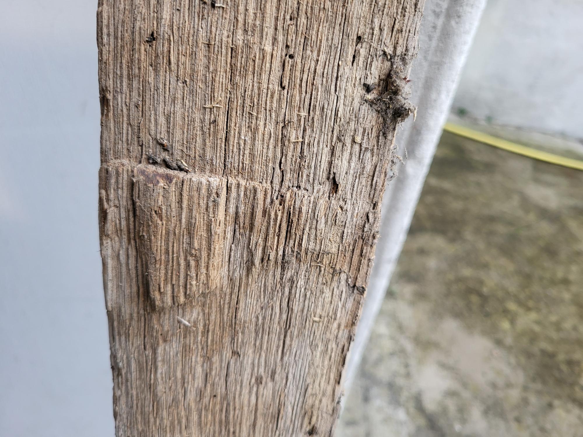 trace d'un sciage à la main sur un chevron en chêne
this beam was hand sawn
