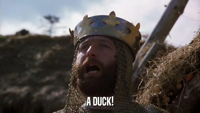 A screenshot of the king arthur in Monthy Python's Holy Grail movie, replying "A duck!" 
