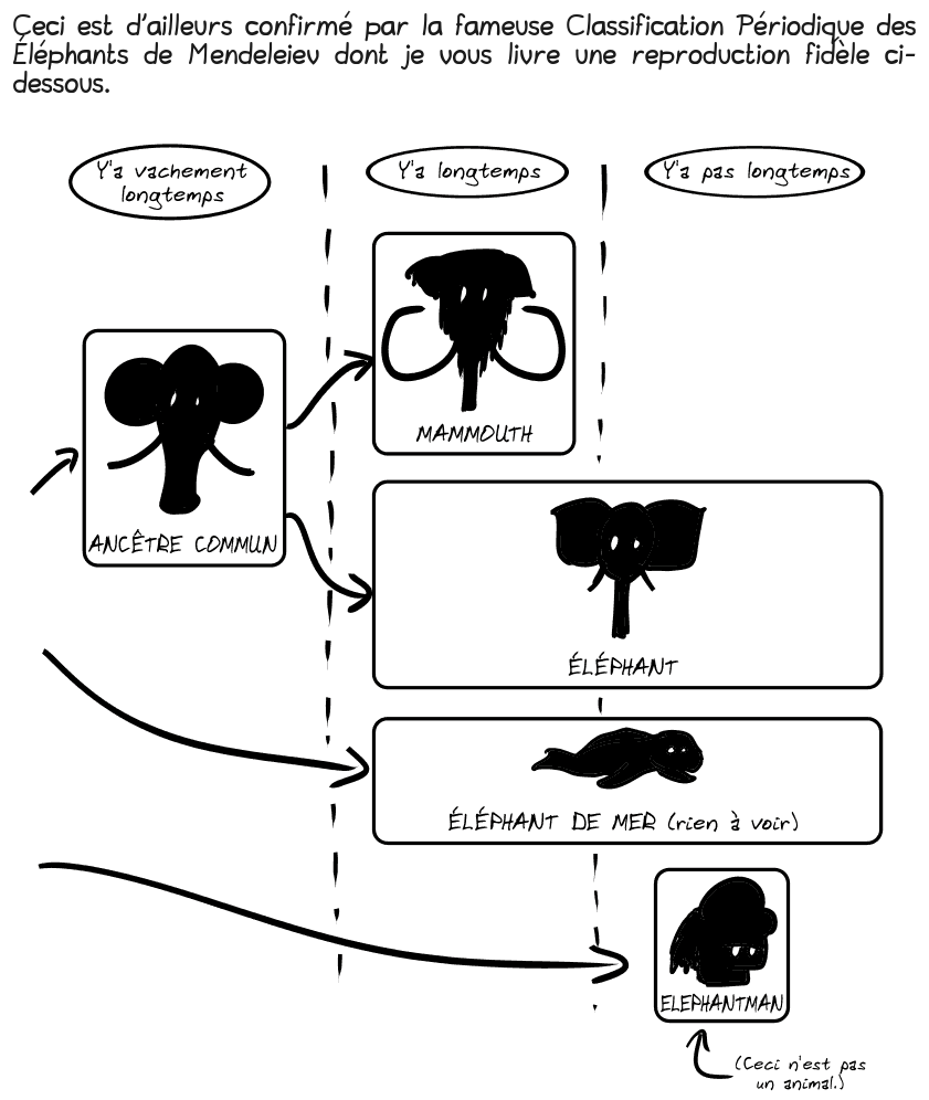 Ceci est d'ailleurs confirmé par la fameuse Classification Périodique des Éléphants de Mendeleiev dont je vous livre une reproduction fidèle ci-dessous.

On voit une sorte de frise chronologique. Y'a vachement longtemps, un ancêtre commun qui a donné, y'a longtemps, le mammouth, l'éléphant et l'éléphant de mer (même si ça n'a rien à voir), et l'éléphant et l'éléphant de mer continuent d'exister de nos jours, tout comme elephantman (mais ceci n'est pas un animal).