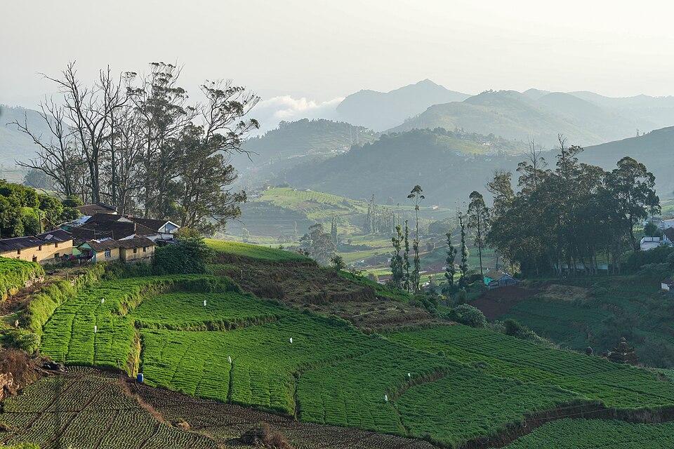Posted media