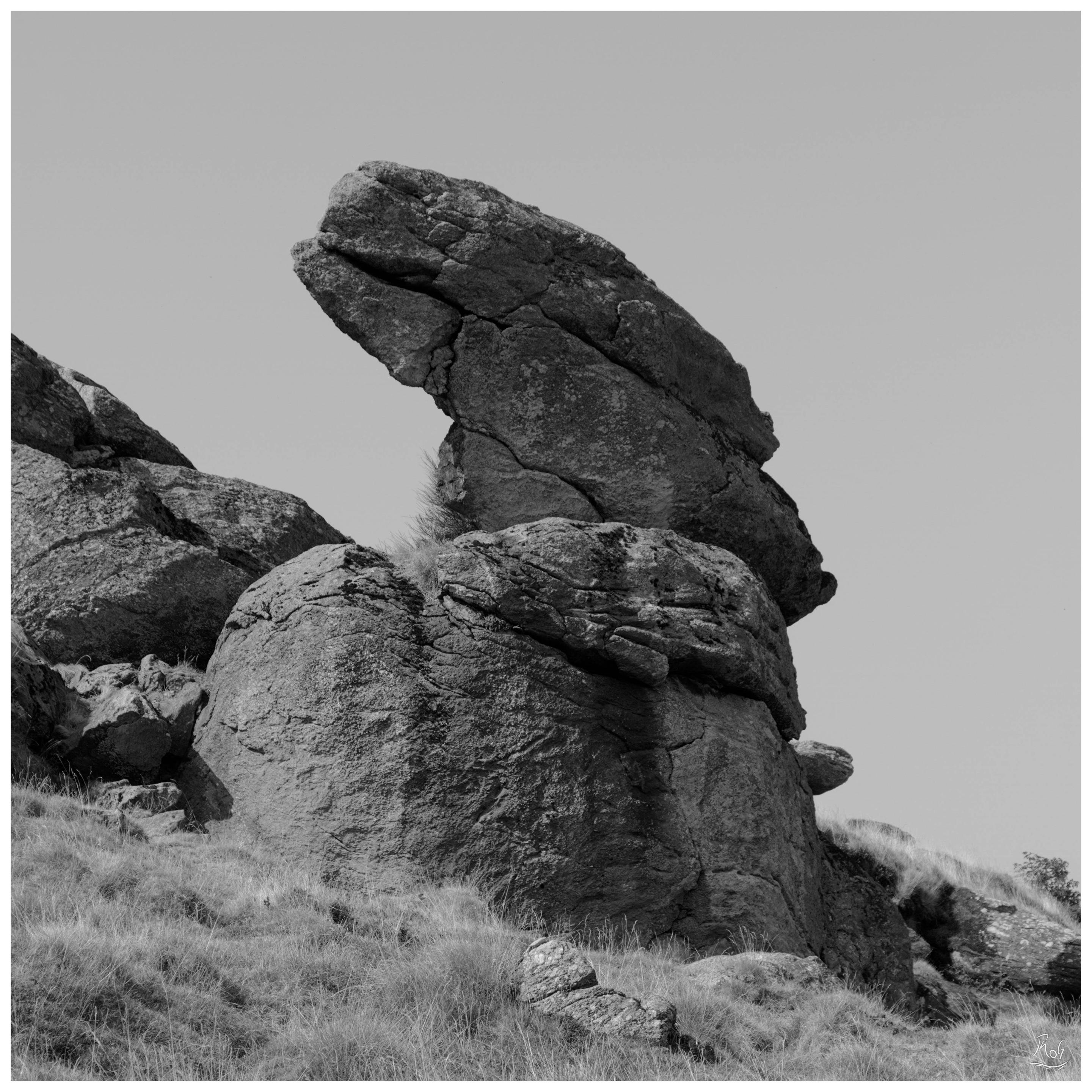 Groupe de rochers dont le plus haut ressemble à une tête de dragon ou de T-Rex regardant vers en haut à gauche